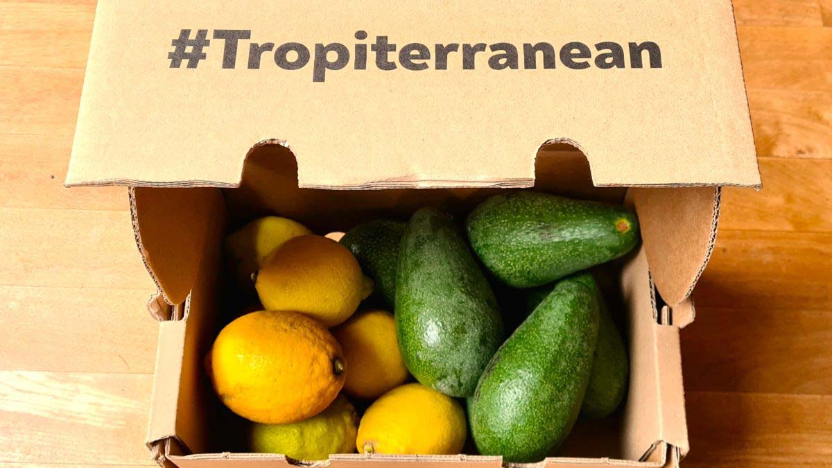 Die Kiste mit einer Lieferung von der Tropiterranean-Bewegung, auf der Kiste der Hashtag mit "Tropiterranean"