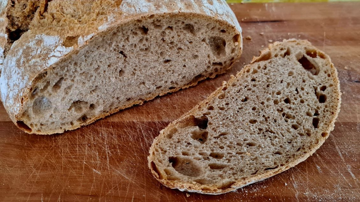 Italienisches Dinkelbrot: man sieht den Anschnitt, der die unregelmäßig geporte Krume zeigt; durch das Mehl semintegrale ist die Krume dunkler