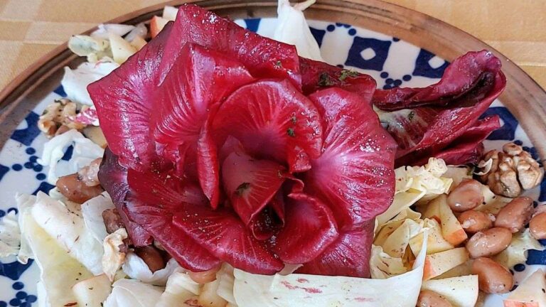 Eine in einem Bohnensalat mit Radicchio Variegato angerichtete einzelne Rosa di Gorizia