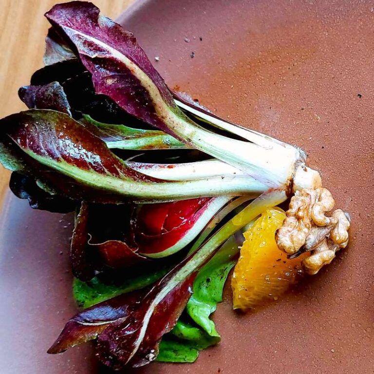 Ein Beispiel für einen Radicchio del Poc, ein Radicchio-Herz in der Farbe dunkelrot-weiß, mit dem geputzten Strunk