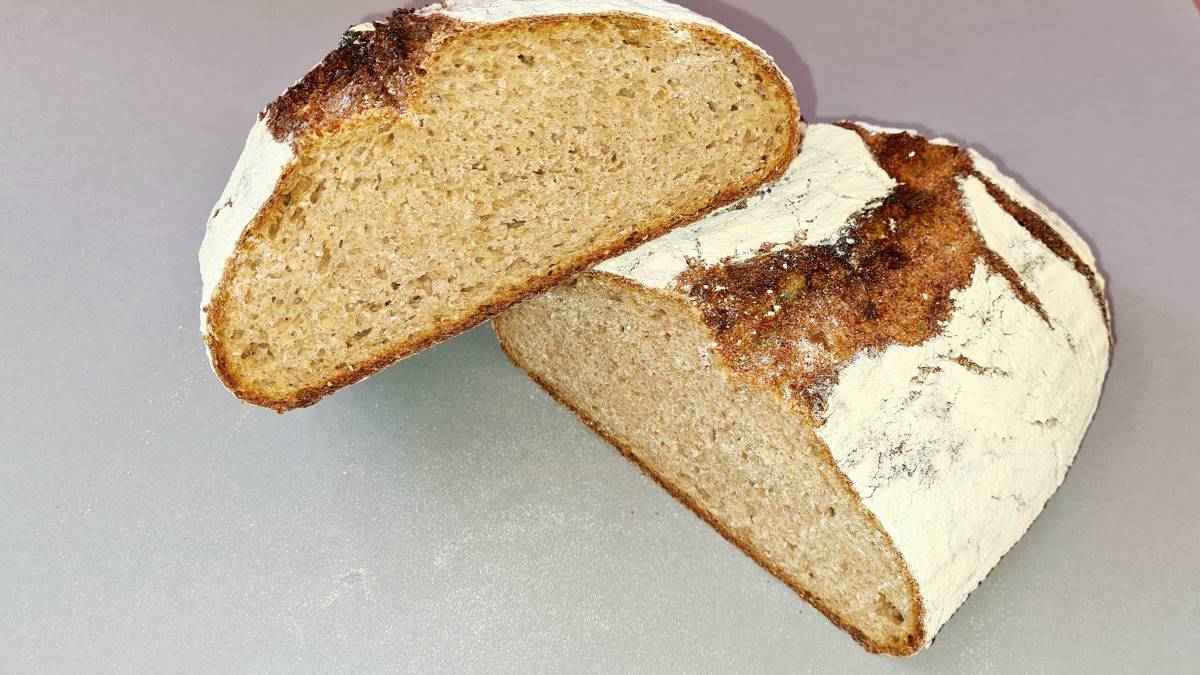 Ein Laib Urkornbrot mit Buttermilch, angeschnitten. Man sieht die rustikal aufgerissene Kruste und die feine Krume.