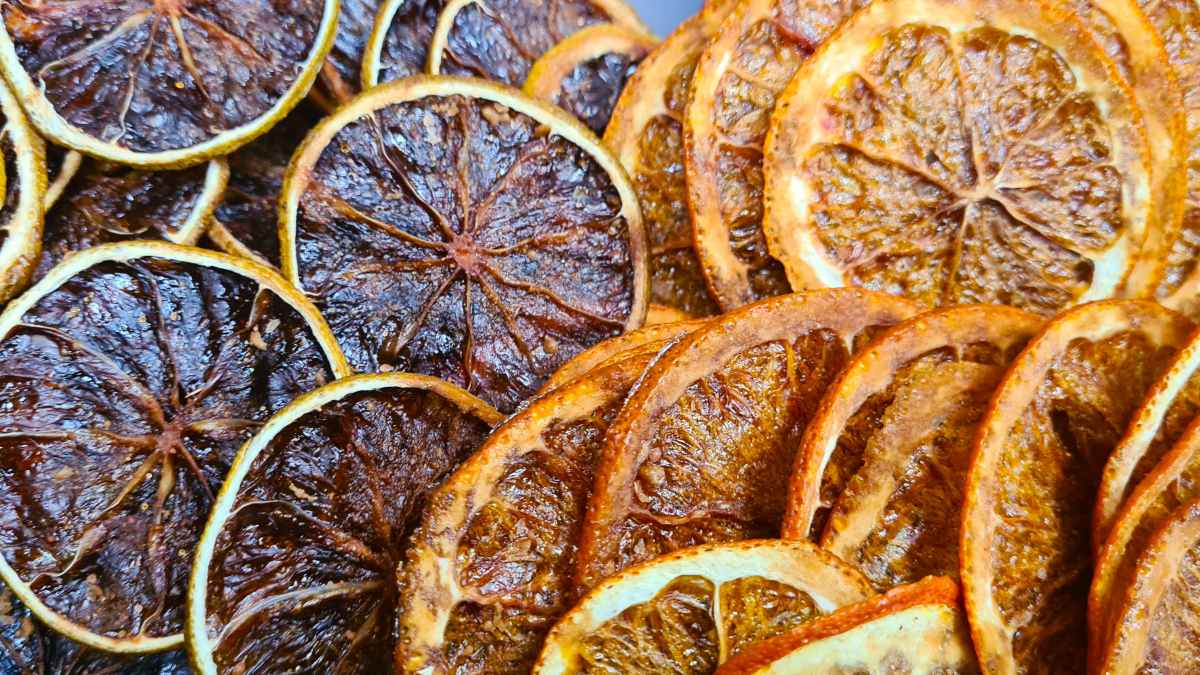 Auf dem Foto: Gedörrte Zitrusfrüchtescheiben von Blutorange und Orange