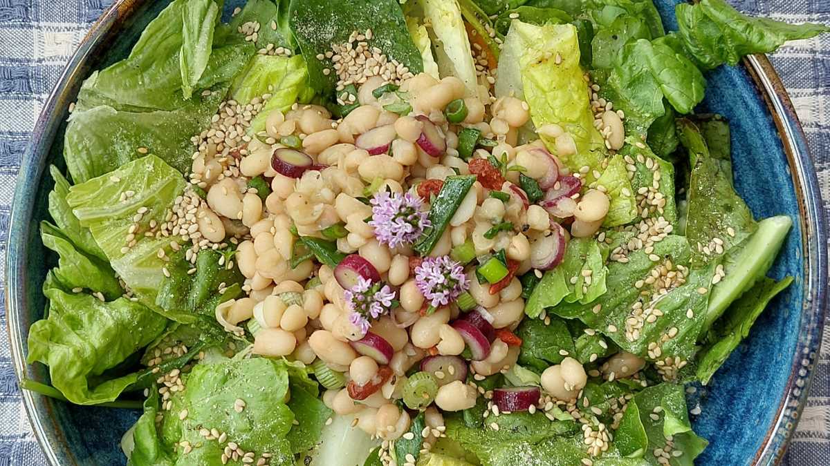 Das Bild zeigt zwei mit einander in einer Salatbowl angerichtete Salate, darauf Maiblüten von Klee und Bohnenkraut
