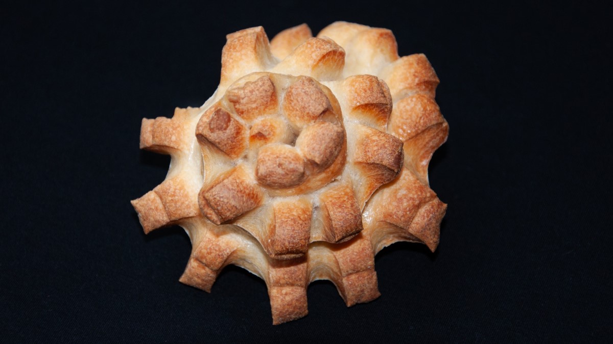 Ein Musterbeispiel für Panini Carciofi, man erkennt gut die vielen kleinen knusprigen Spitzen dieses Brötchens, das an eine Artischocke erinnert.