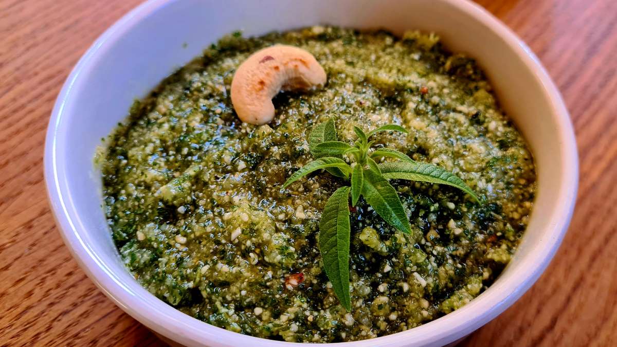 Das Bild zeigt eine Schale mit Zitronenverbenen-Pesto in Großaufnahme. Ein gerösteter Cashewkern und eine Kräuterspitze von der Verbene liegen auf dem Pesto zur Deko