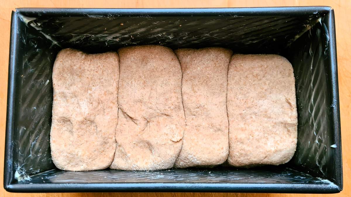 Herbstlicher Vollkorntoast: Das Bild zeigt die vier rohen Teiglinge in der gebutterten Kastenform bevor sie aufgegangen sind