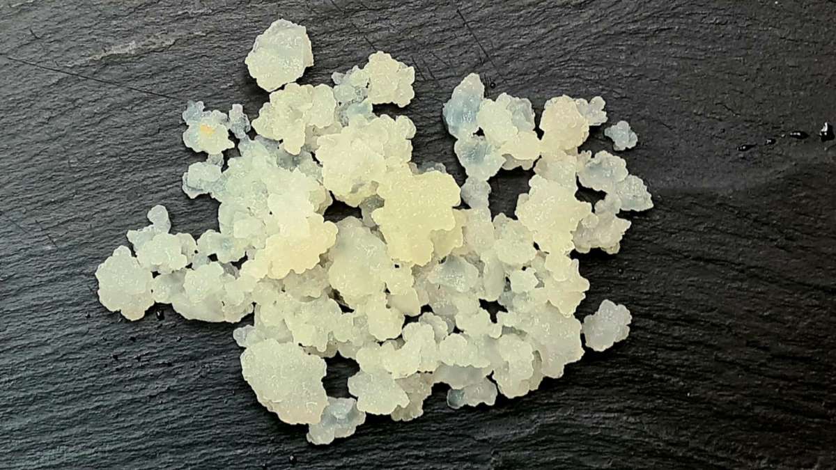 Das Bild zeigt weiße Wasserkefir-Kristalle auf einem schwarzen Brett