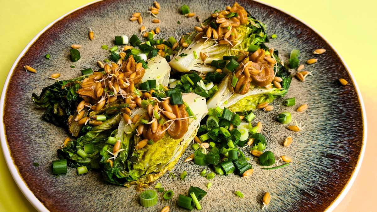 Auf einem blaugrauen Teller liegt ein aufgeschnittener angebratener Salat, dazu Jungzwiebel- und Schnittlauchröllchen, darauf eine Sesamcreme und Dinkelkeime.