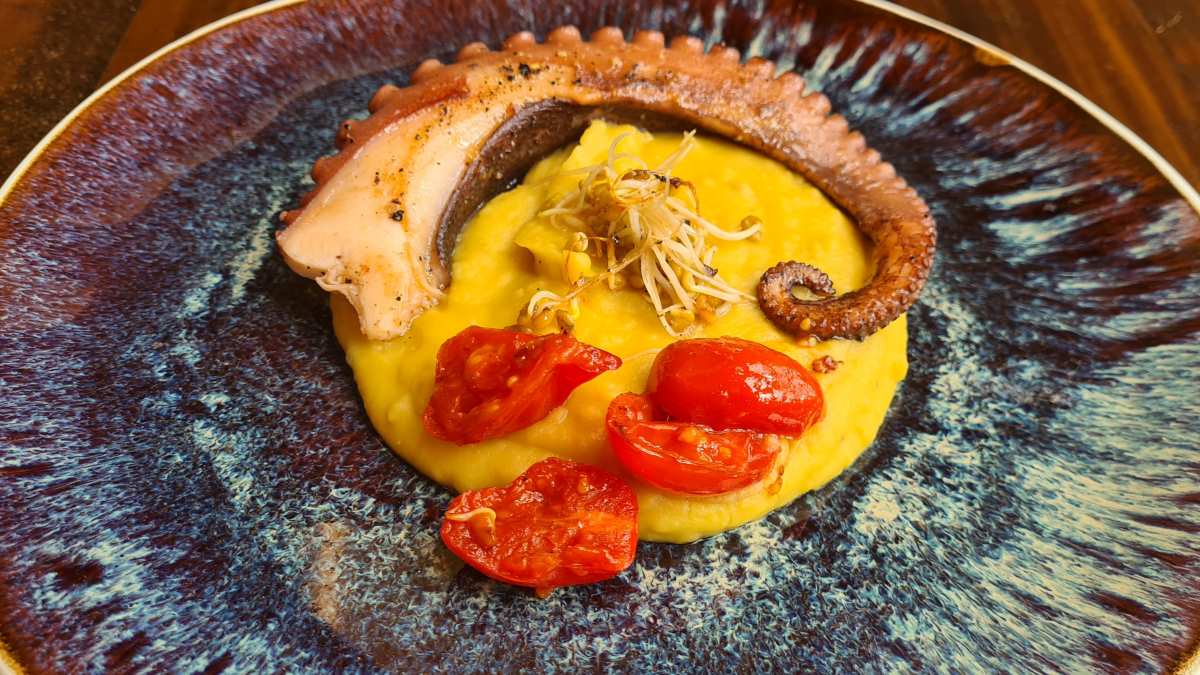 Oktopus auf Favacreme: Das Bild zeigt auf einem dunkelblauen Teller die gelbe Favacreme mit angeschmorten roten Kirschtomaten, einige Sprossen darauf und daneben den gegrillten Oktopus-Arm.