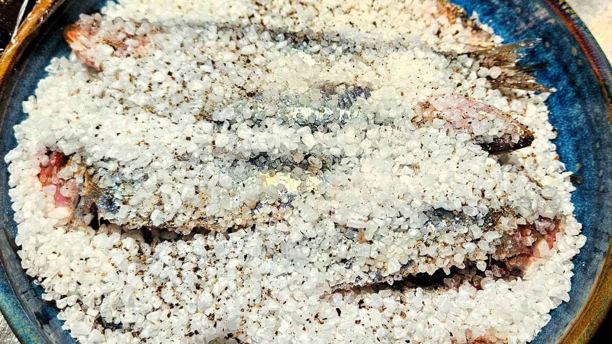 In einer glasierten Tonschale sind die ganzen, ausgenommenen und geschuppten Sardinen rundum mit Salz bedeckt