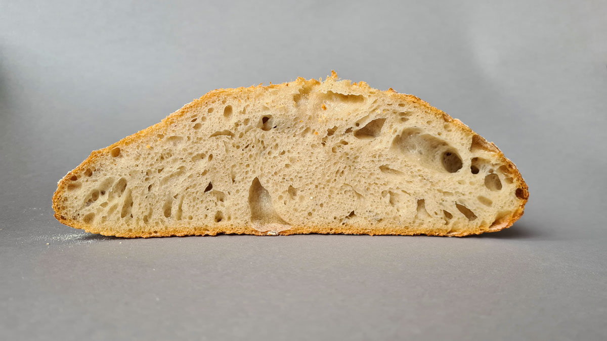 Der Anschnitt des Weißbrots mit Lievito Madre: man sieht die unregelmäßige grobe Porung des Brotes.
