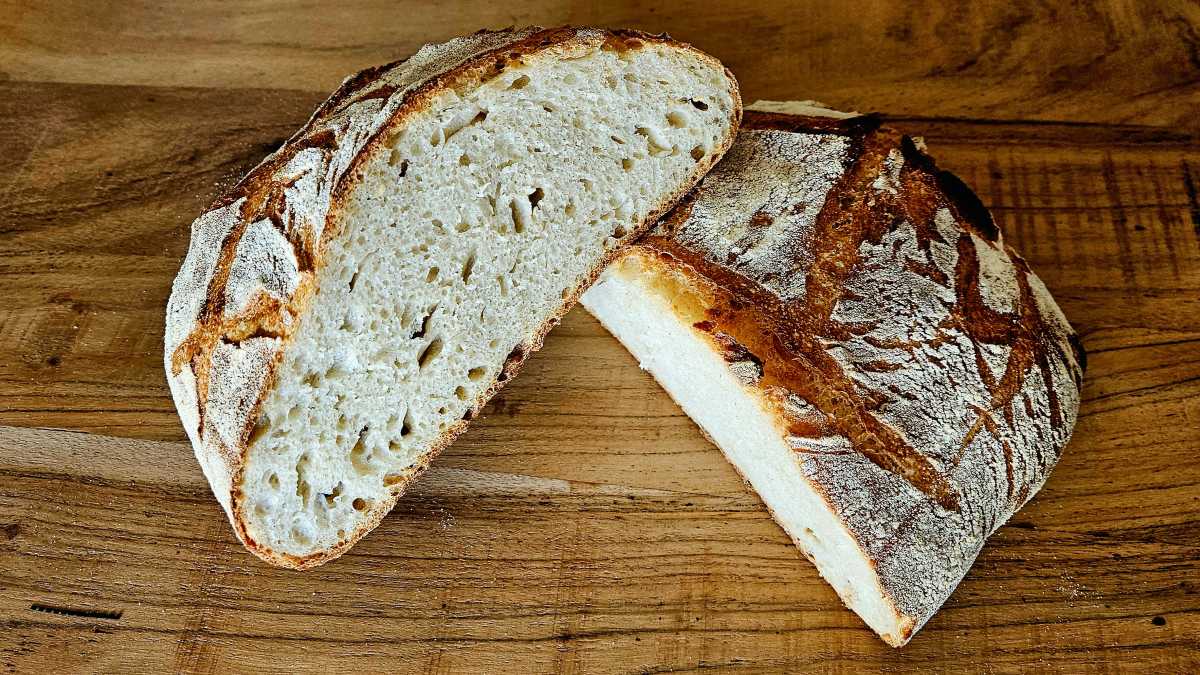 Man sieht den angeschnittenen Laib Brot nach der Lievito-Madre-Brotformel: helle Krume, leicht unregelmäßige Porung, kräftige Kruste