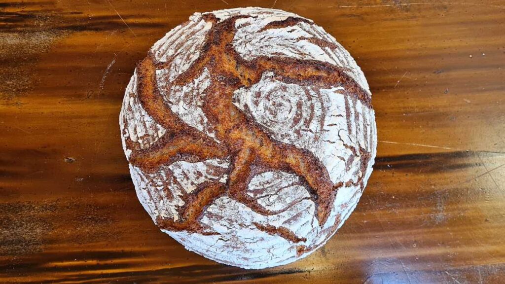 Ein Laib Urkornbrot mit Buttermilch von oben fotografiert. Man dieht die rustikal aufgerissene Krume