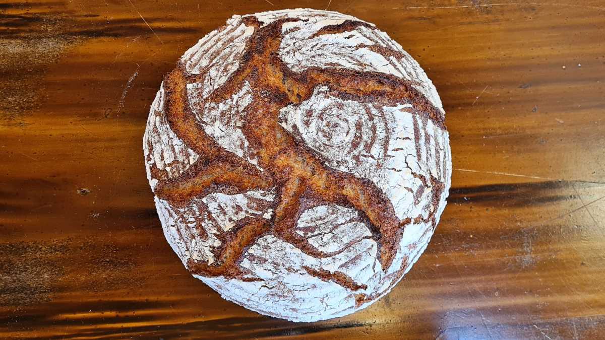 Ein Laib Urkornbrot mit Buttermilch von oben fotografiert. Man sieht die rustikal aufgerissene Kruste