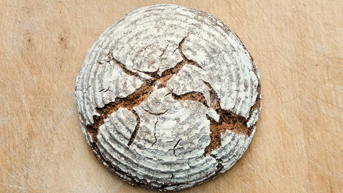 Der Laib vom Vollkornbrot aus Champagnerroggen. Die Kruste ist sehr bemehlt, zu sehen sind die Risse vom Backvorgang.
